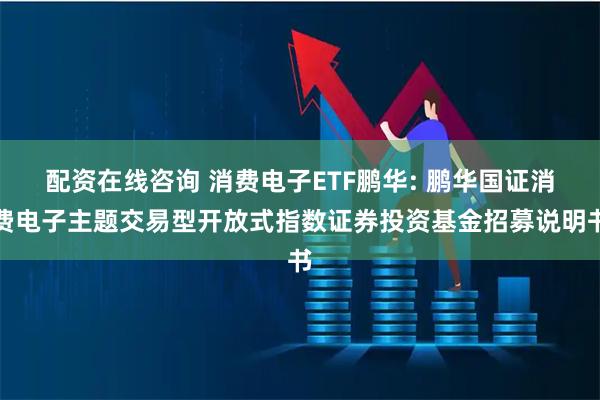 配资在线咨询 消费电子ETF鹏华: 鹏华国证消费电子主题交易型开放式指数证券投资基金招募说明书